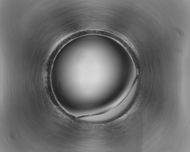 X0000115730926200911121509