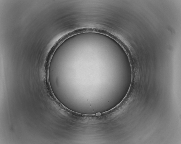 X0000115730927200911121509