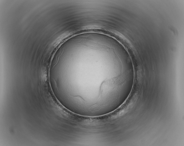 X0000115730929200911121509