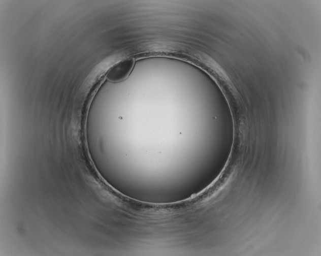 X0000115730930200911121509