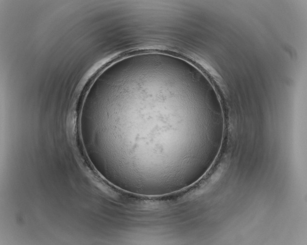 X0000115730933200911121509