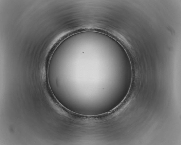 X0000115730934200911121509