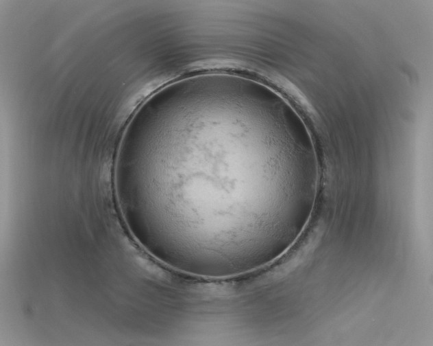 X0000115730937200911121509