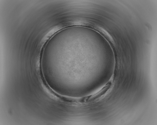 X0000115730938200911121509