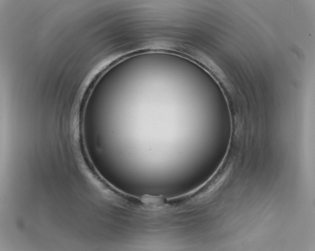 X0000115730939200911121509