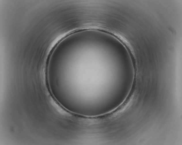 X0000115730941200911121509