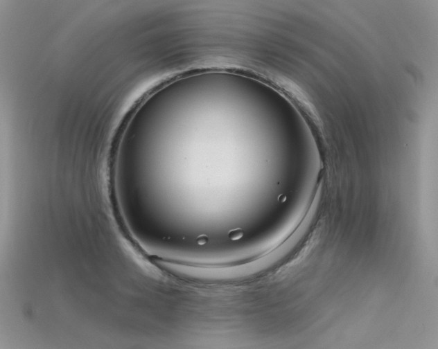 X0000115730942200911121509