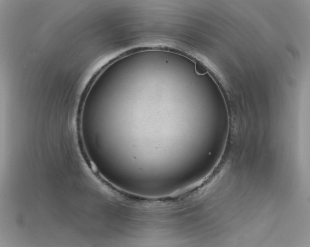 X0000115730943200911121509