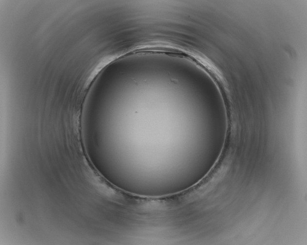 X0000115730945200911121509
