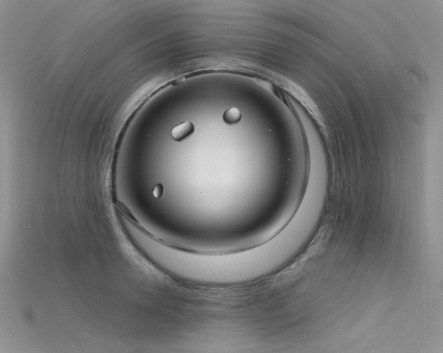 X0000115730946200911121509