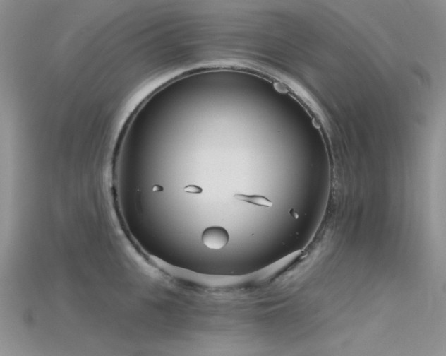 X0000115730951200911121509