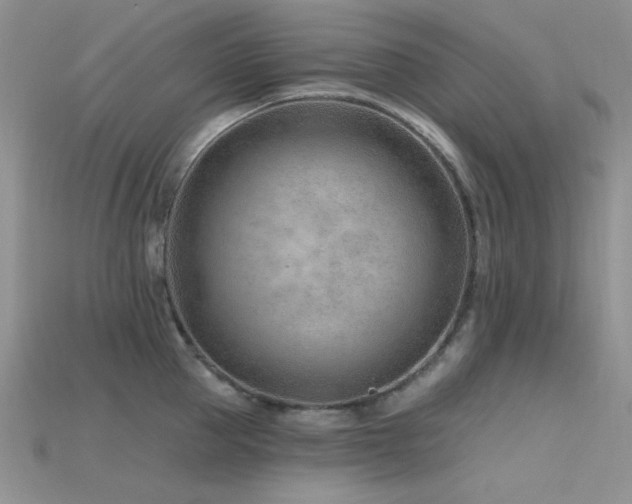 X0000115730953200911121509