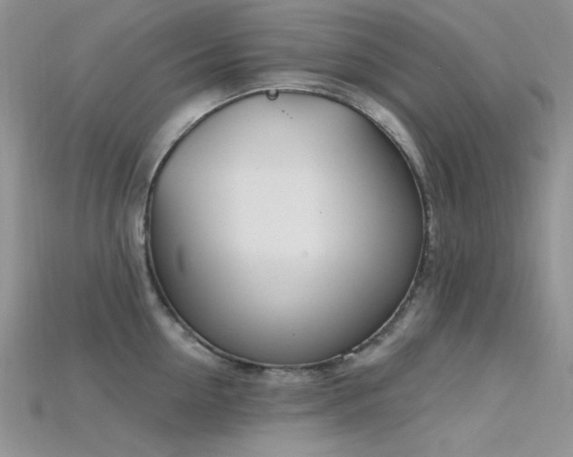 X0000115730954200911121509