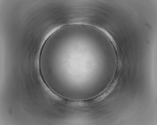 X0000115730957200911121509