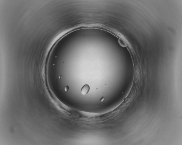 X0000115730959200911121509