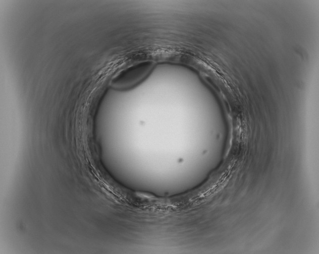X0000115730961200911121508