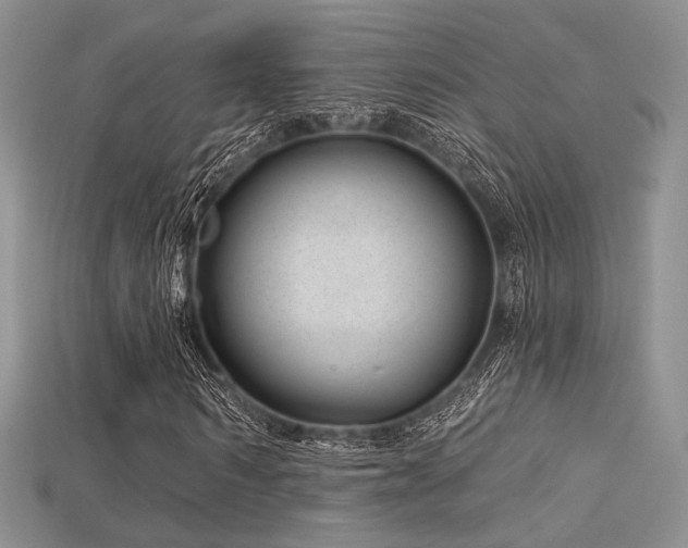 X0000115730962200911121508