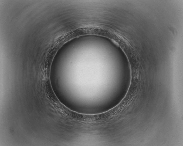 X0000115730965200911121508