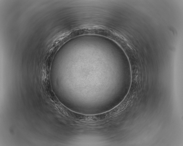 X0000115730966200911121508