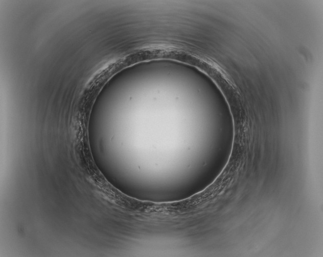 X0000115730967200911121508