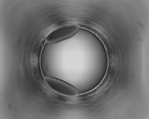 X0000115730969200911121508