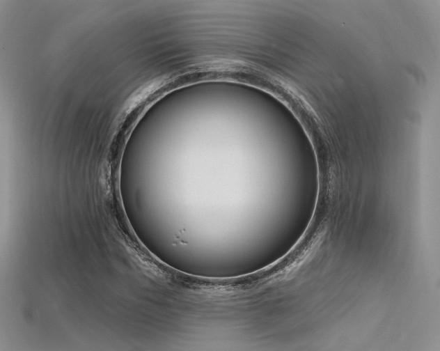 X0000115730970200911121508