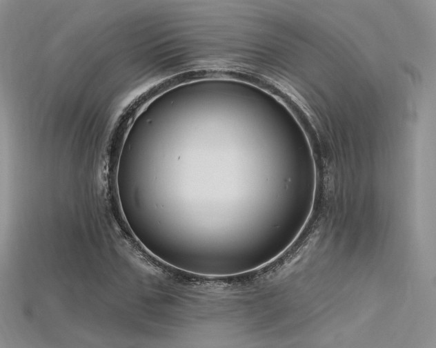 X0000115730971200911121508