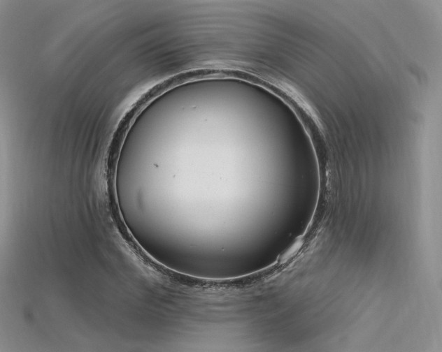 X0000115730972200911121508
