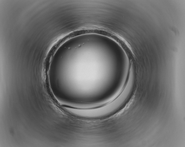 X0000115730973200911121508