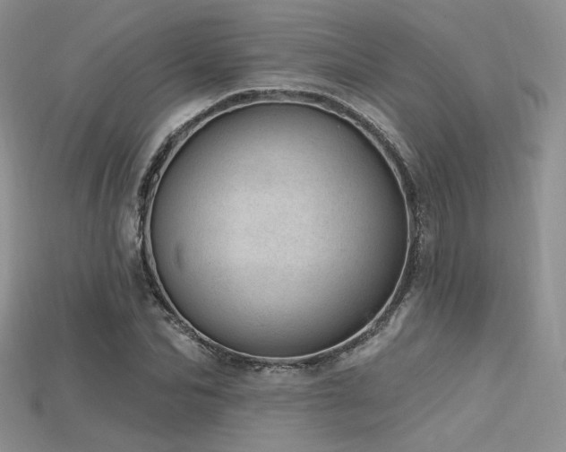 X0000115730974200911121508
