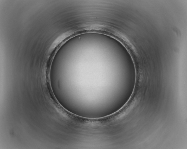 X0000115730978200911121508