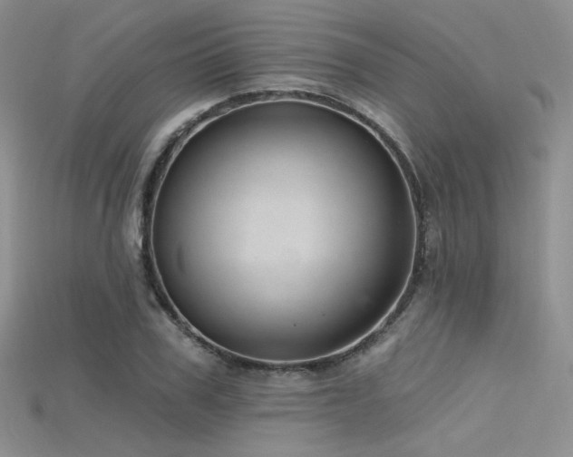 X0000115730979200911121508