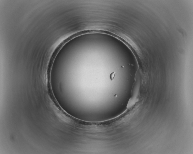 X0000115730980200911121508