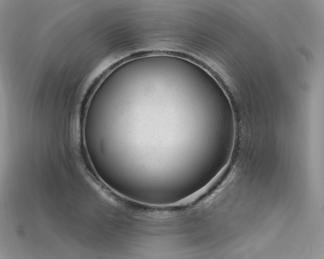X0000115730982200911121508