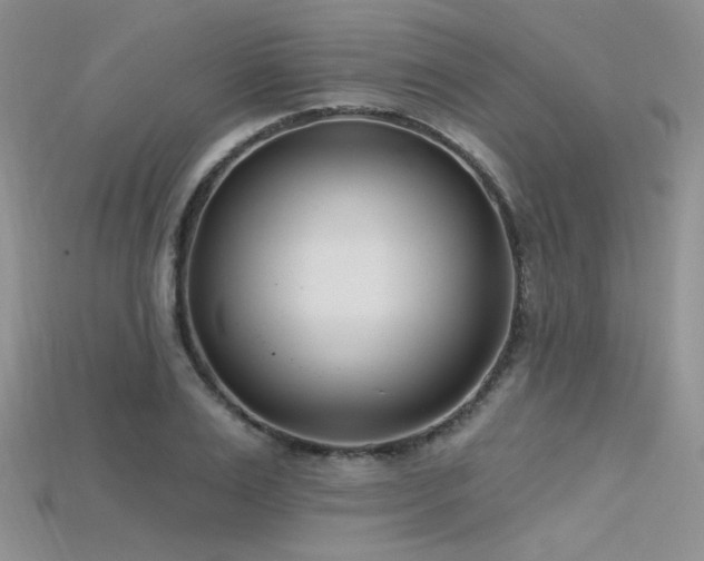 X0000115730983200911121508