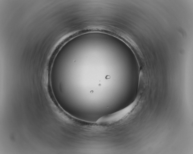 X0000115730984200911121508