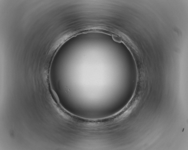 X0000115730985200911121508
