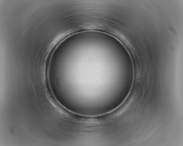 X0000115730986200911121508