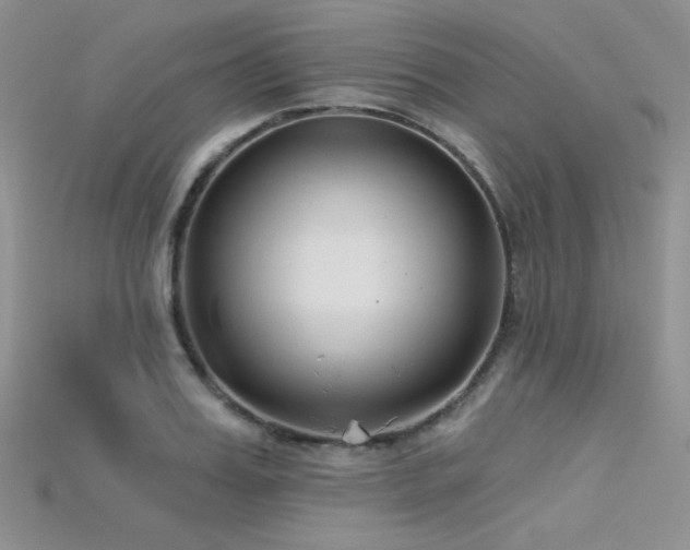 X0000115730987200911121508