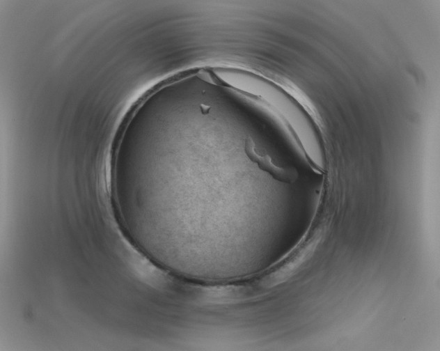 X0000115730988200911121508