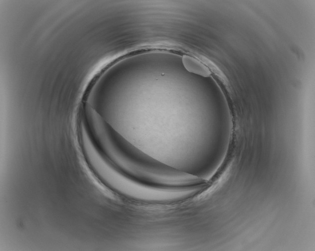 X0000115730989200911121508