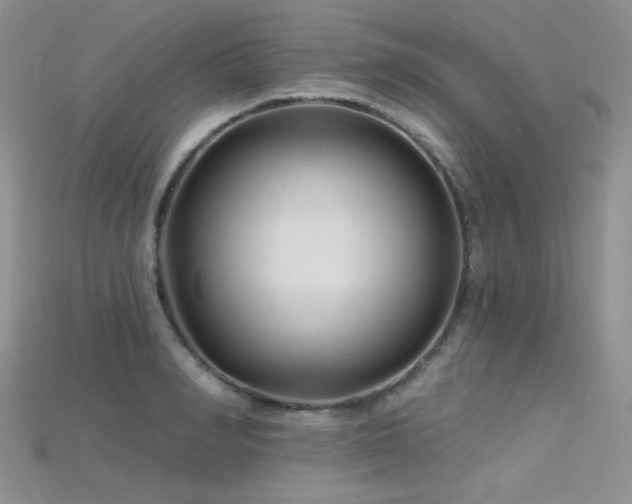 X0000115730990200911121508