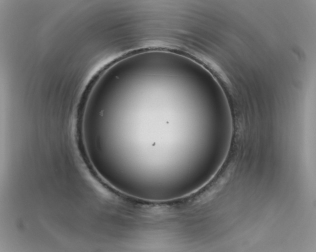 X0000115730991200911121508