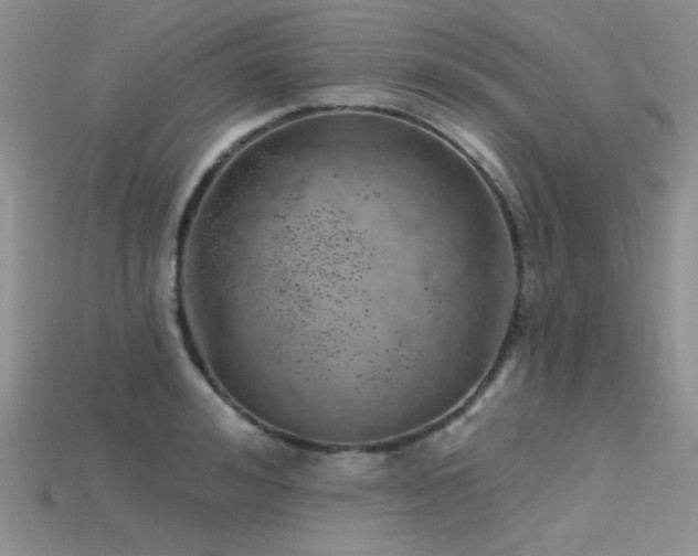X0000115730992200911121508