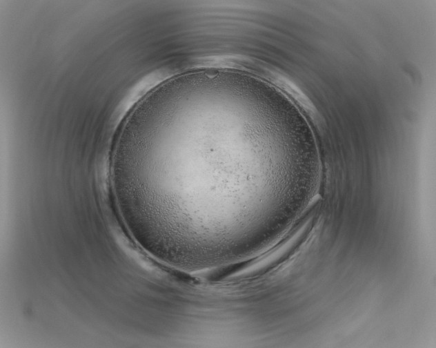 X0000115730994200911121508