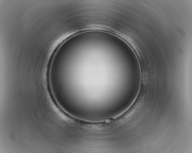 X0000115730995200911121508