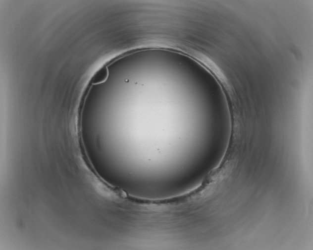 X0000115730996200911121508