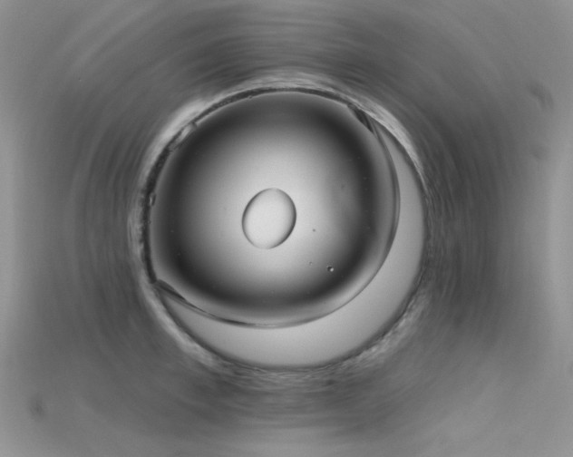 X0000115730997200911121508