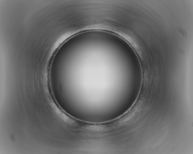 X0000115730998200911121508