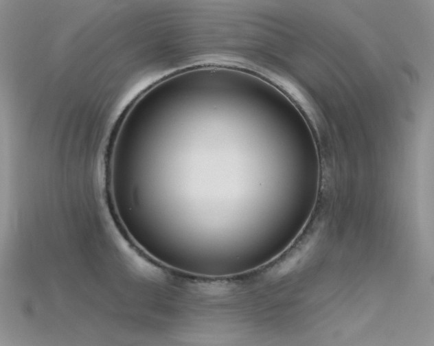 X0000115730999200911121508